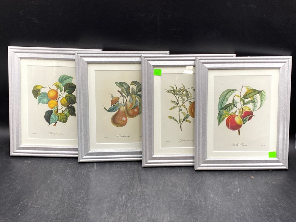 Framed Fruit Art Prints