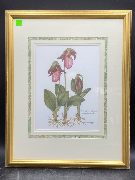 S. Morris Kincheloe Framed Botanical Print