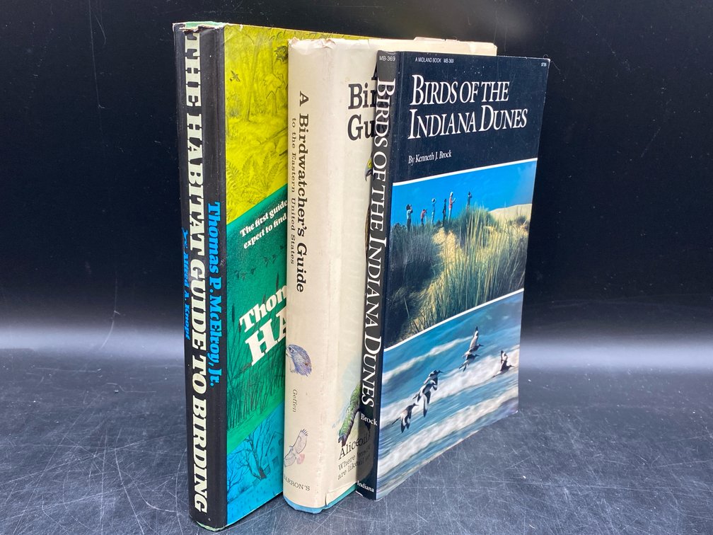 Birds Themed Reads