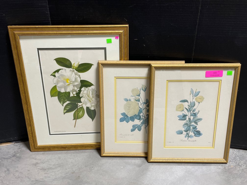 Botanical Framed Prints