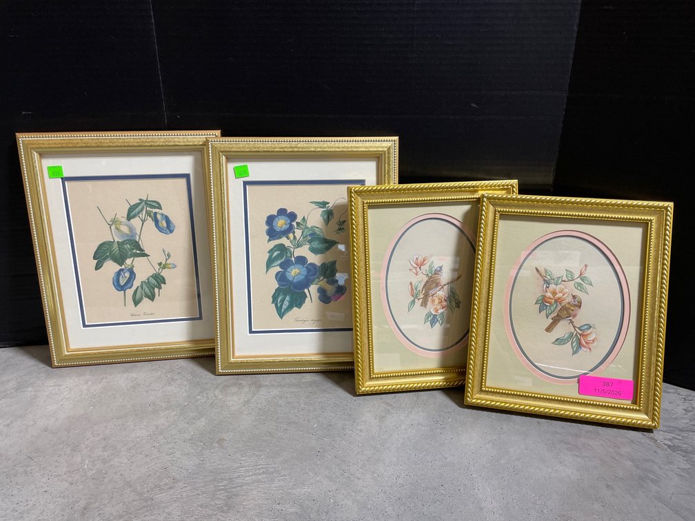 Framed Botanical Plate & Related