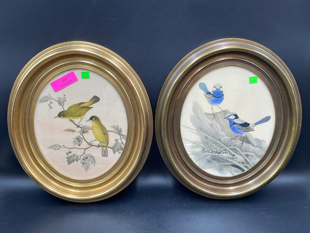 Framed Avian Plates