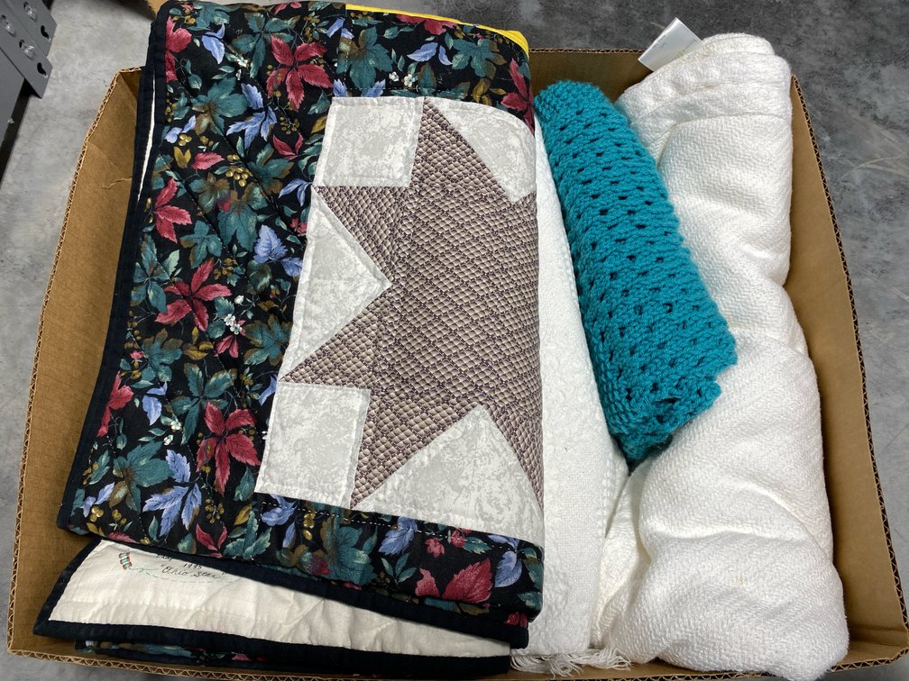 Bed Settings and Comforts