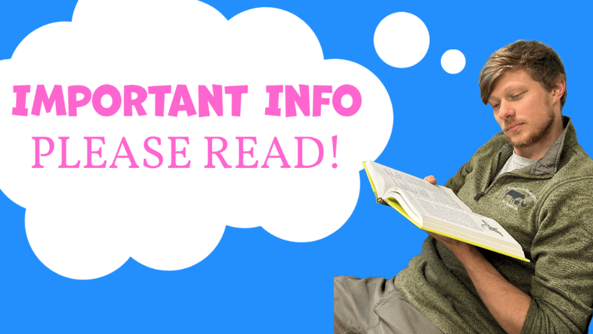 Important Information about this auction!