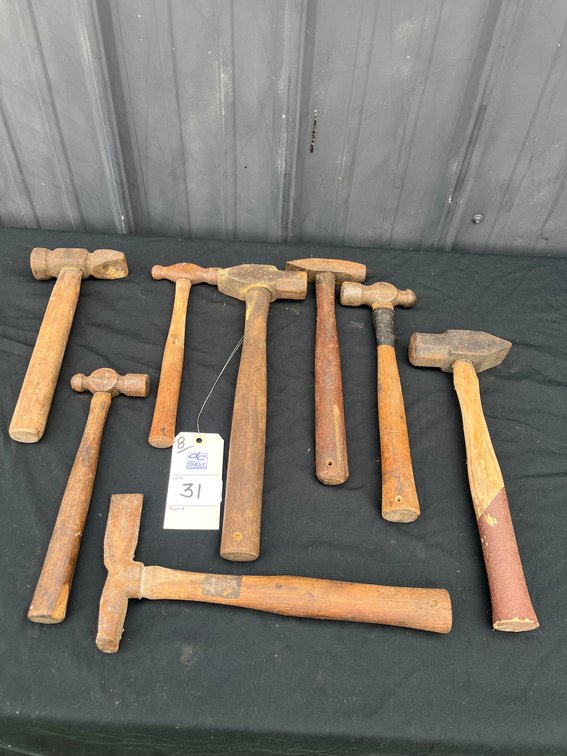 Lot 31