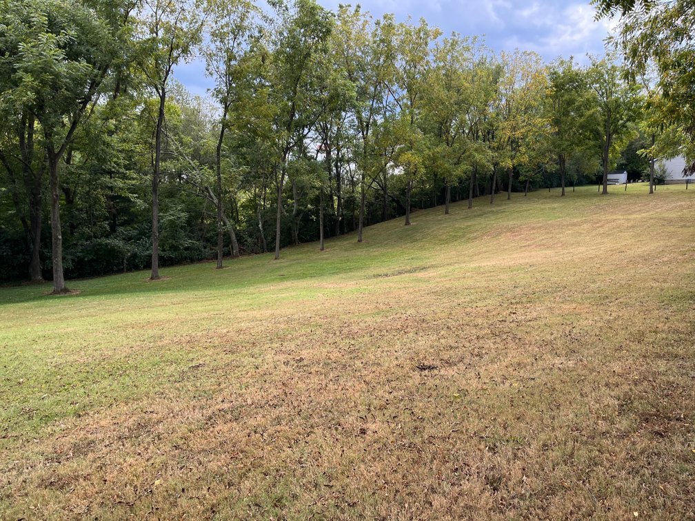 Image for SOLD ~ $231,120.00 ~ 4.97  Acres ~ Residential Building Lots ~ Smith Grove, Kentucky  {click here for details}