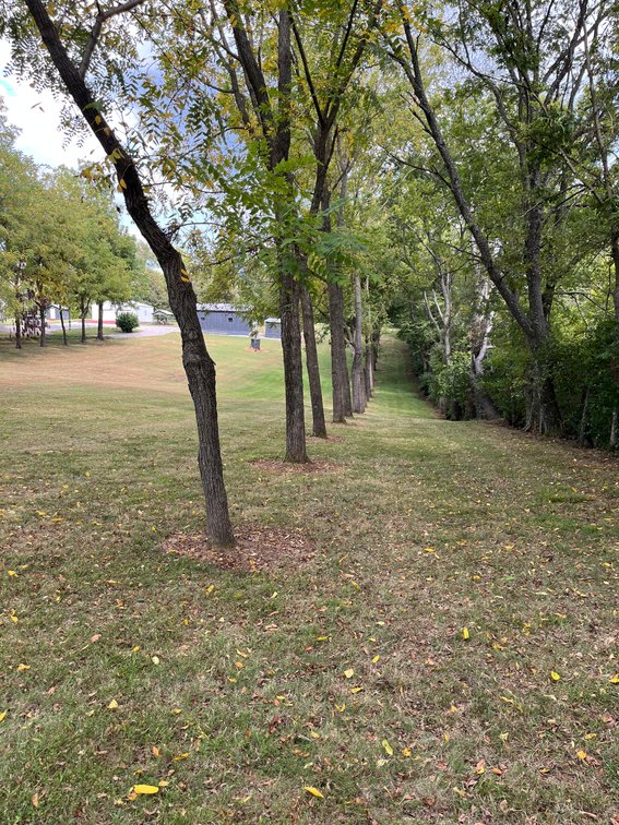Image for SOLD ~ $231,120.00 ~ 4.97  Acres ~ Residential Building Lots ~ Smith Grove, Kentucky  {click here for details}