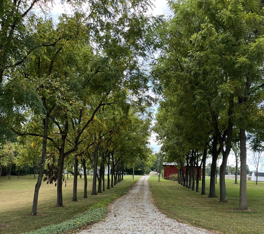 Image for SOLD ~ $231,120.00 ~ 4.97  Acres ~ Residential Building Lots ~ Smith Grove, Kentucky  {click here for details}