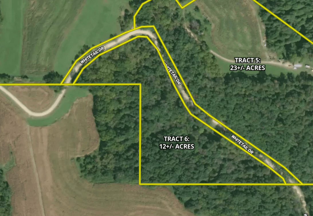 Tract 6 - 12+/- Acres Allamakee County, IA