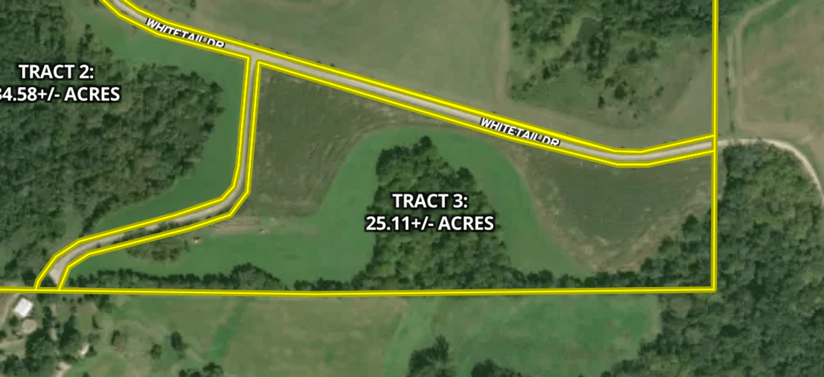 Tract 3 - 25.11+/- Acres Allamakee County, IA
