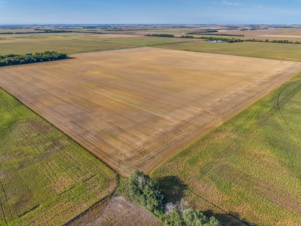 Tract 1 - 145.4+/- Acres Grand Forks County, ND