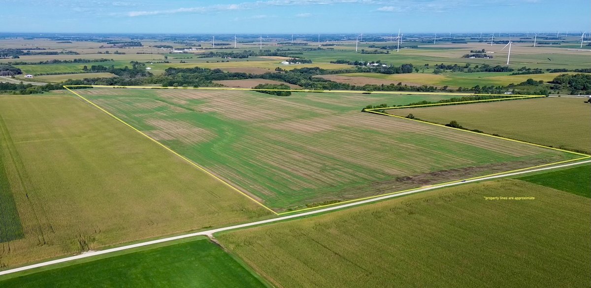 141.22+/- Acres Mower County, MN
