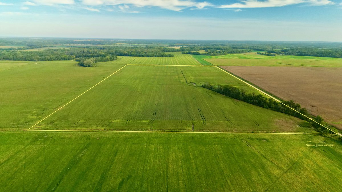 Tract 1 - 80.91+/- Acres Fayette County, IL