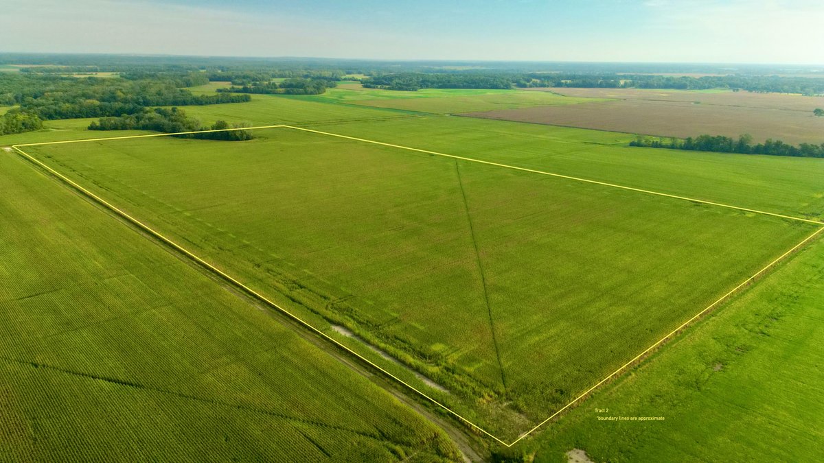 Tract 2 - 80.91+/- Acres Fayette County, IL