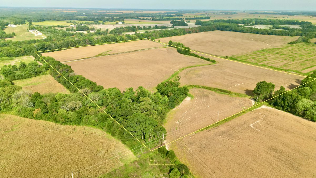 Tract 5 - 59.71+/- Acres Fayette County, IL
