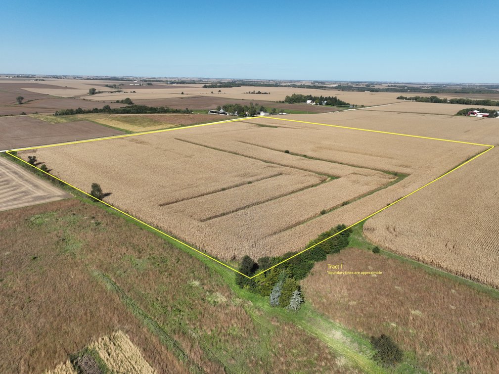 Tract 1 - 39 +/- Acres Butler County, IA