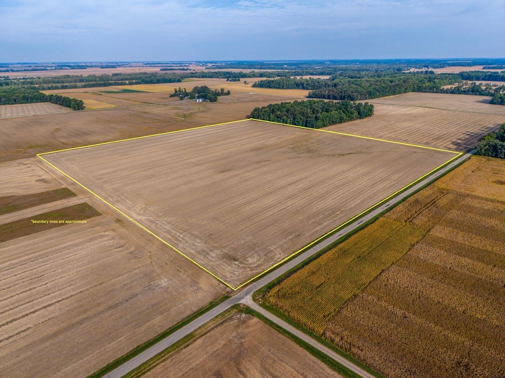 Entirety - 40+/- Acres Jasper County, IL