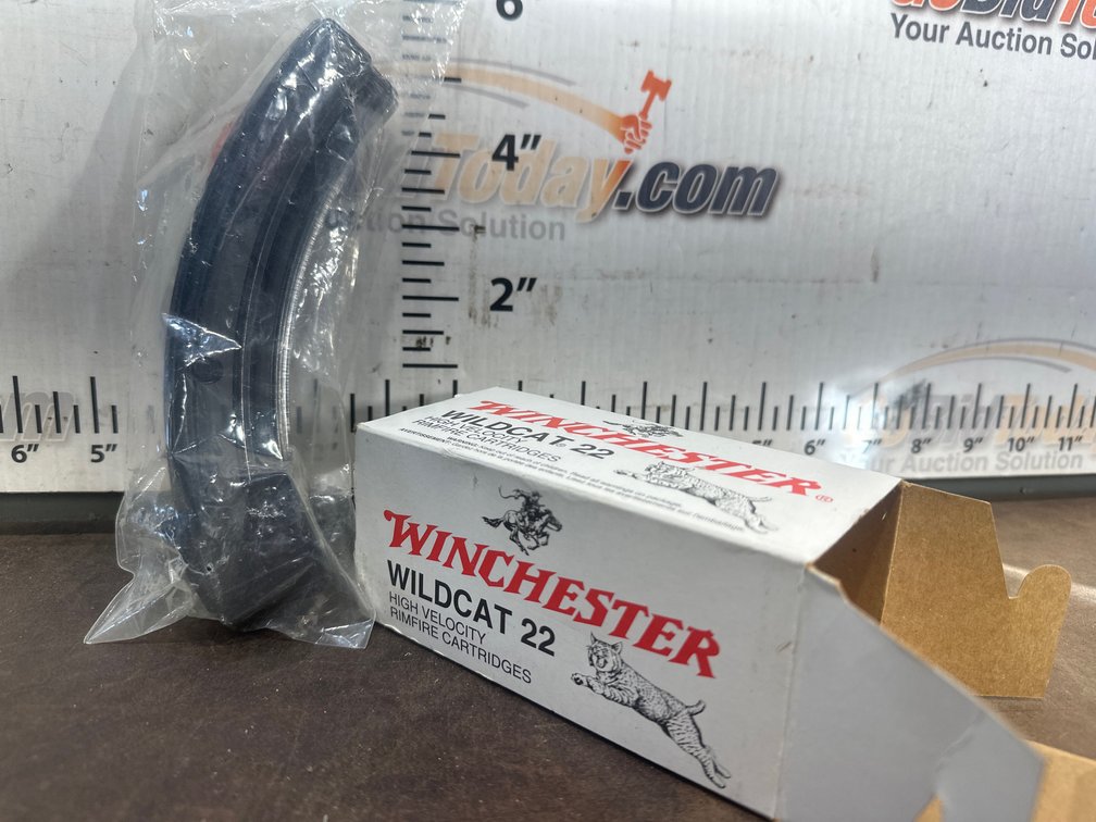 .22 LR Rimfire Ammunition and Curved Polymer Magazine