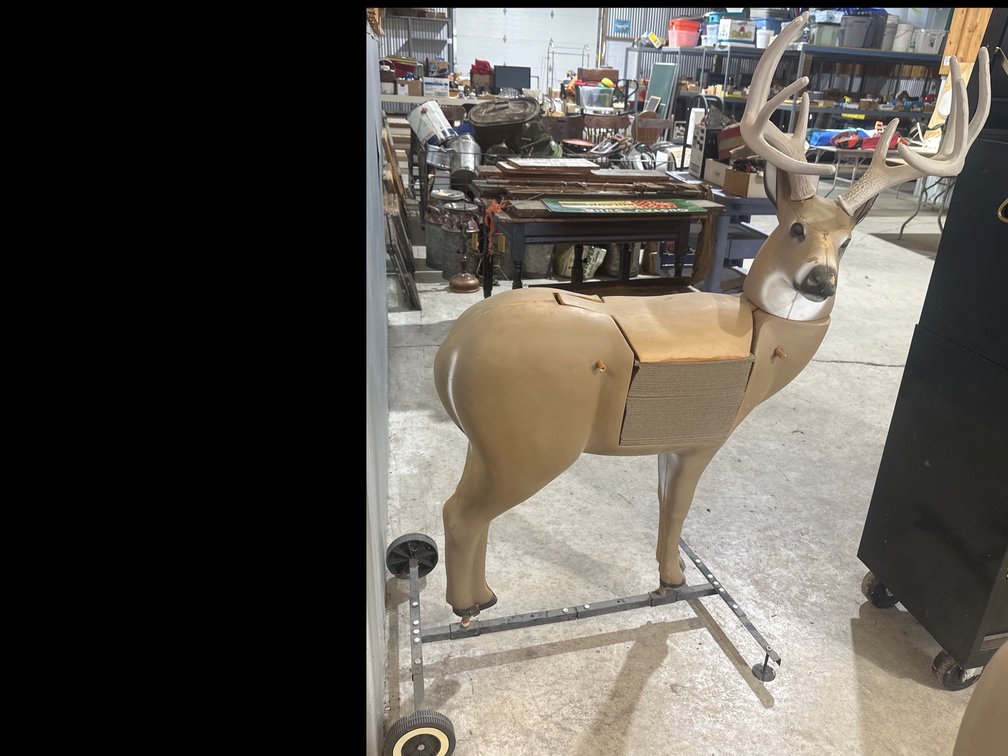 3D Buck Deer Archery Target on Wheeled Stand