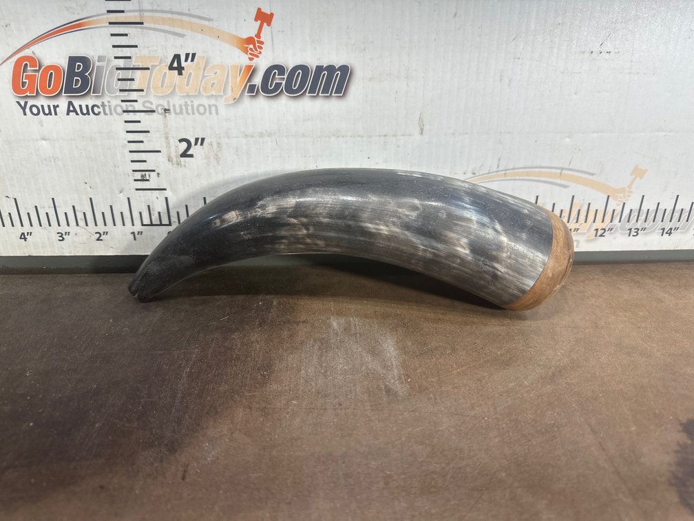 Polished Animal Horn with Wooden End Plug