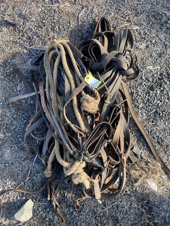 Leather Harness Straps with Hardware and Twisted Rope