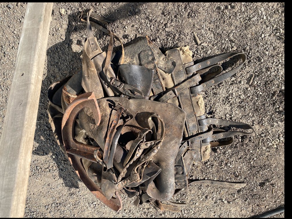 Panniers and Leather Harness Gear