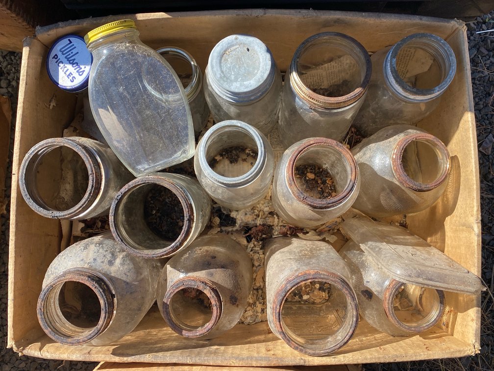 Glass Canning Jars and Bottles in Box