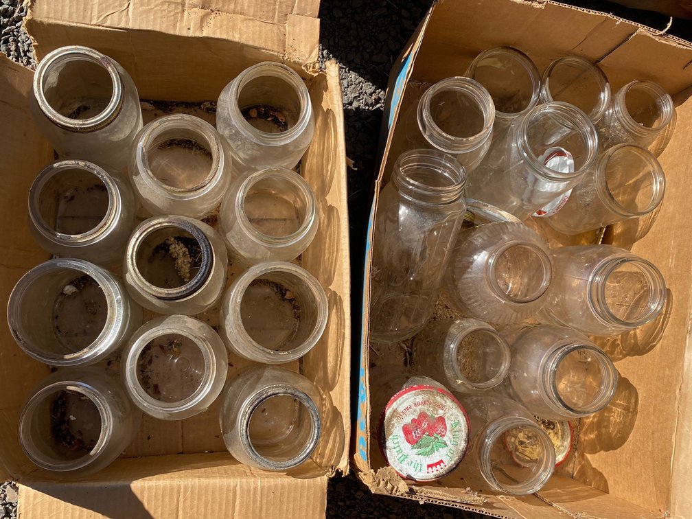 Clear Glass Canning and Storage Jars with Lids