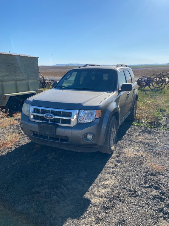 2009 Ford Escape Multipurpose Vehicle (MPV)