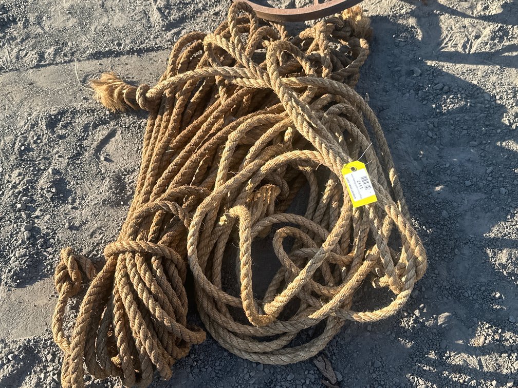 Lot 1117