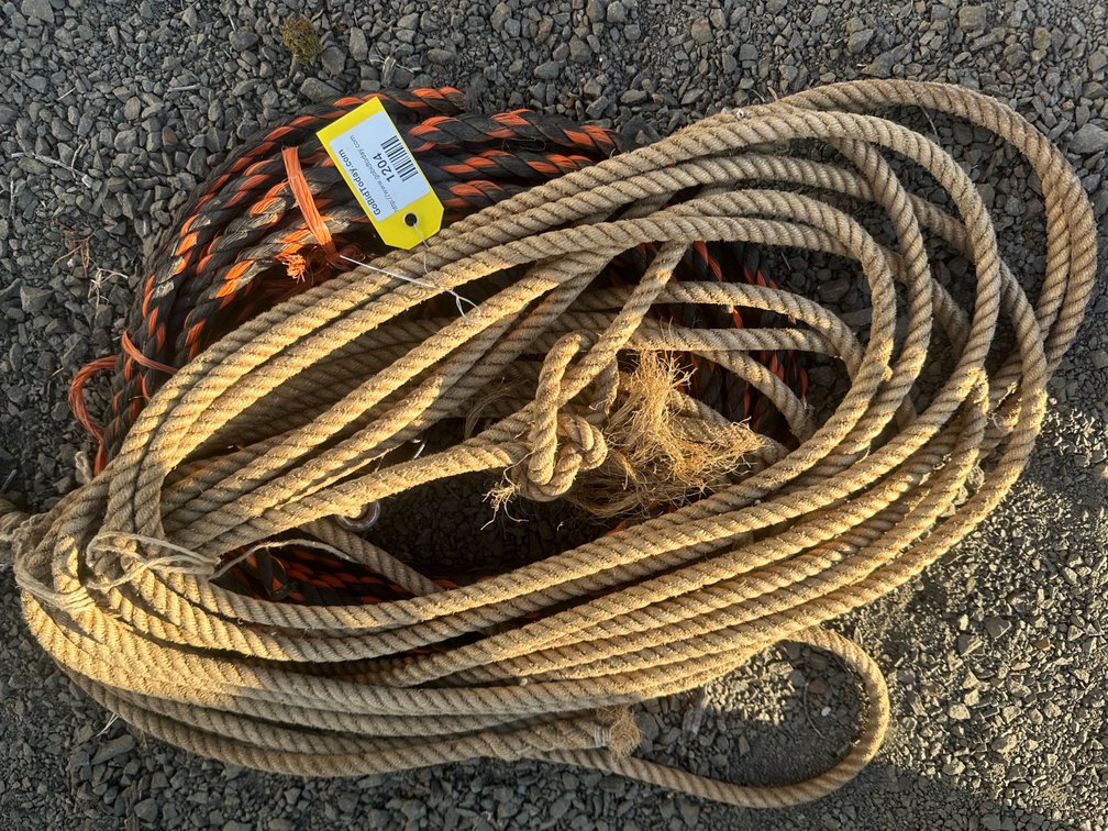 Lot 1204