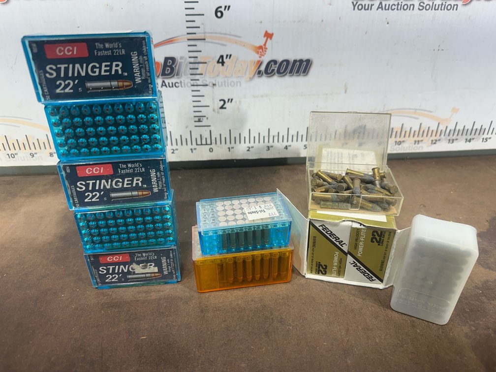 .22 LR Rimfire Ammunition and Storage Cases