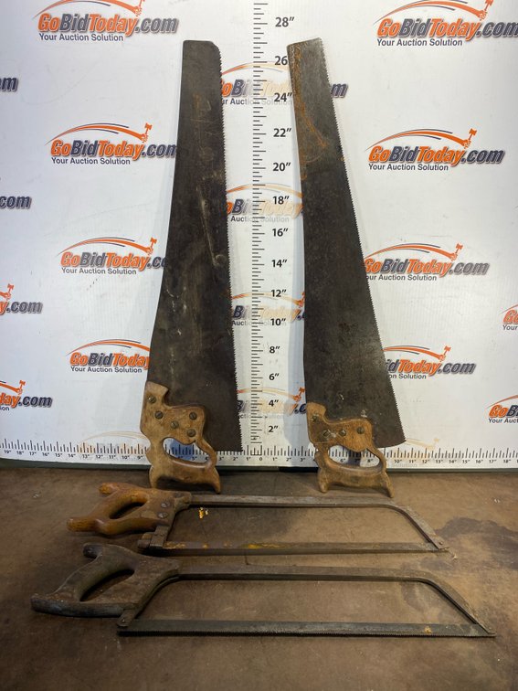 Lot 565