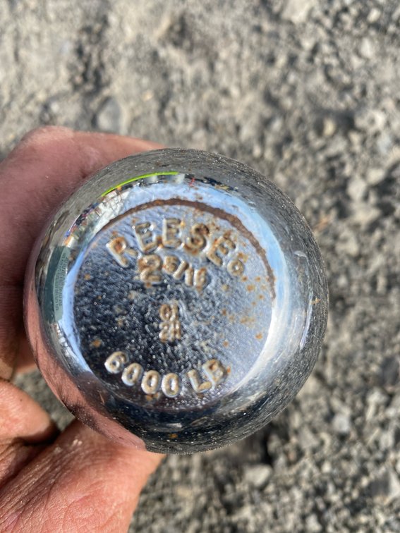 Lot 1236