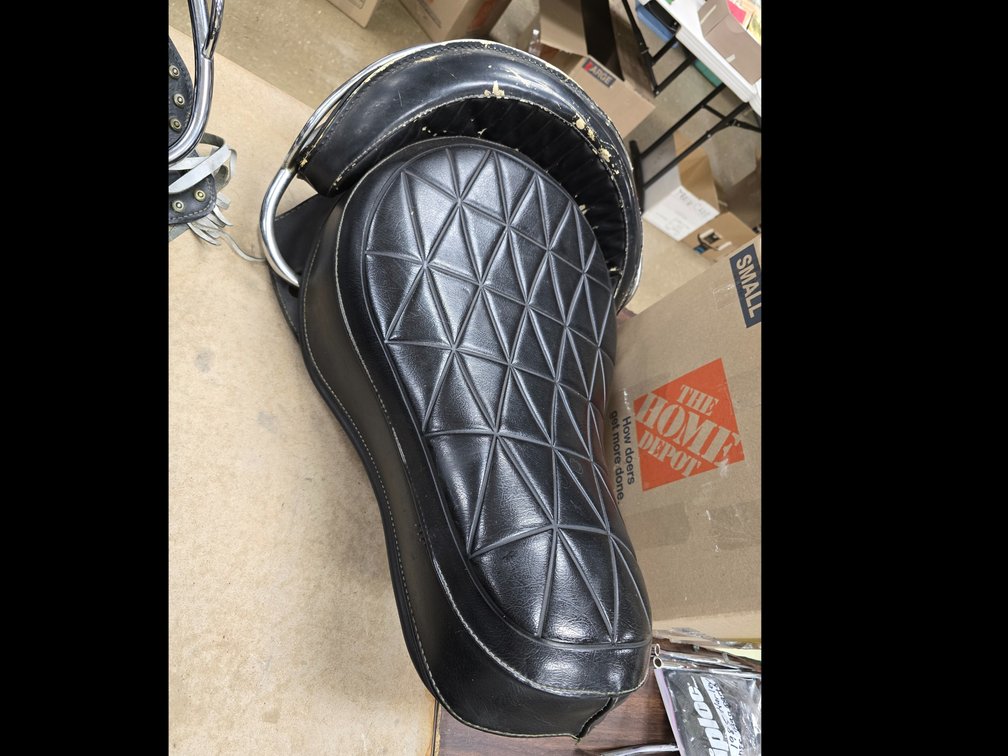 Harley Buddy Seat