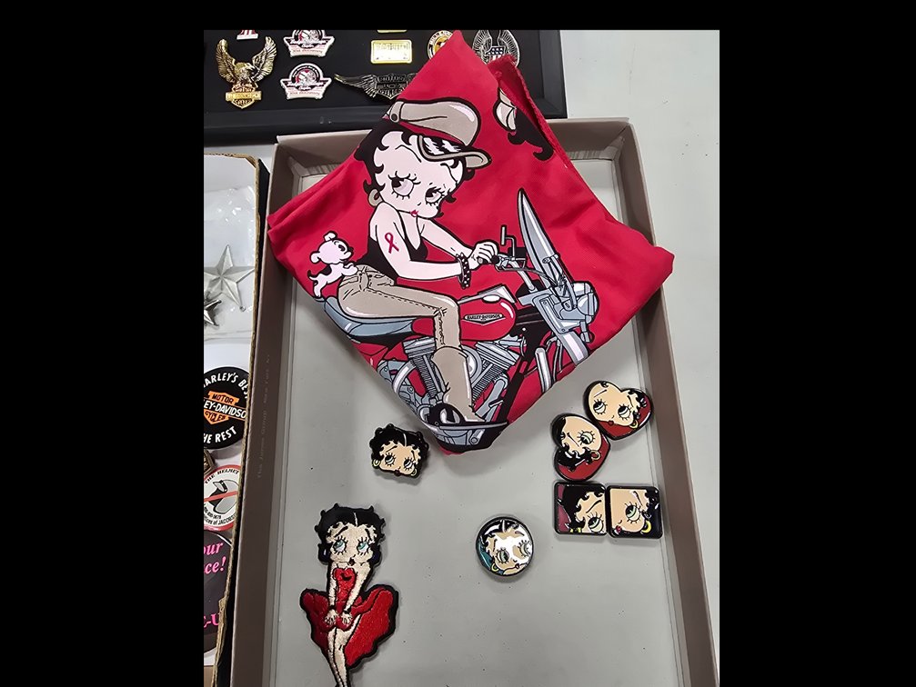 Harley & Indian pins, Betty Boop, & Other Assorted Biking Related Pins & Medals