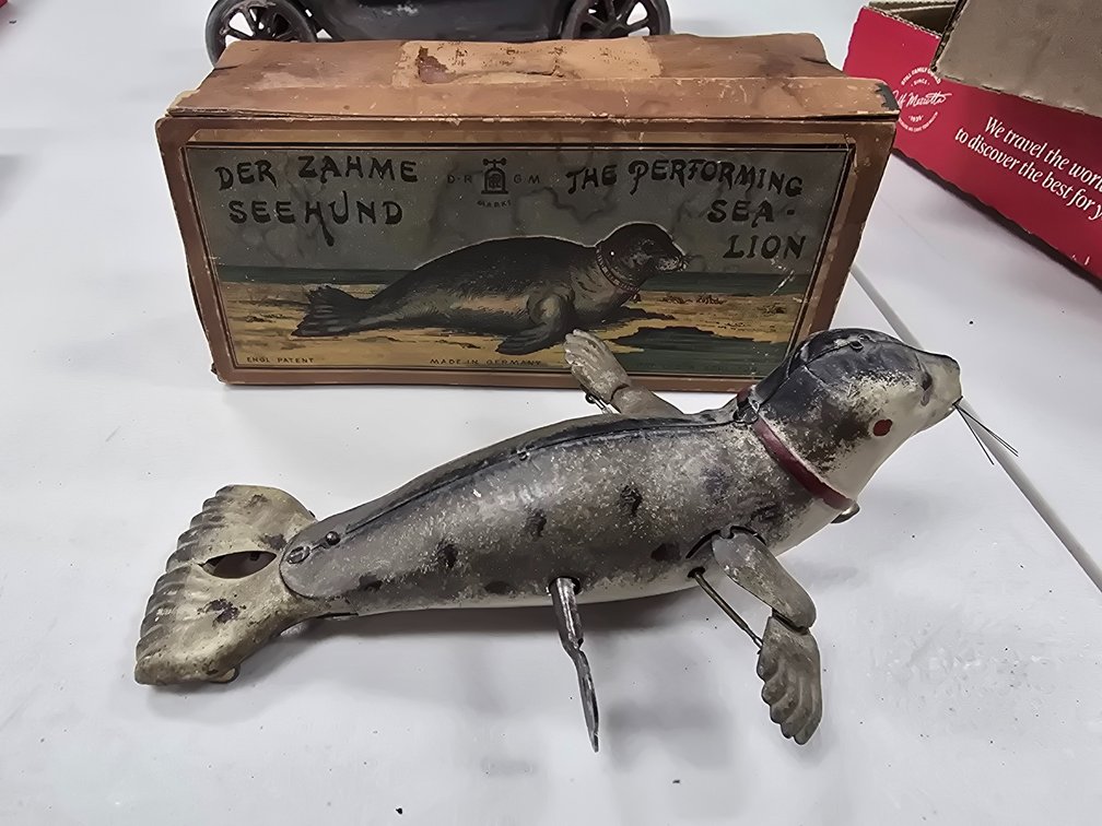 Lehman Performing Sea Lion with box