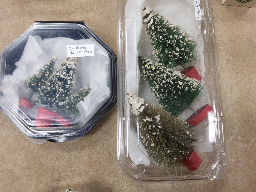 6 assorted bottle brush trees