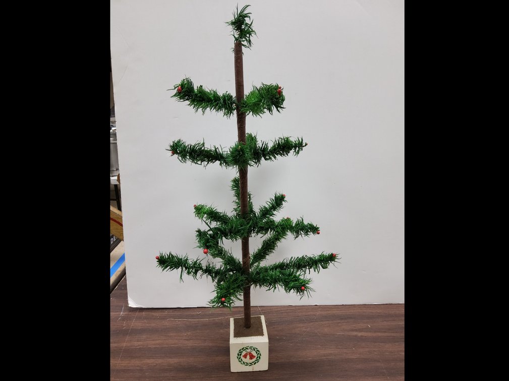 2 ft German feather tree