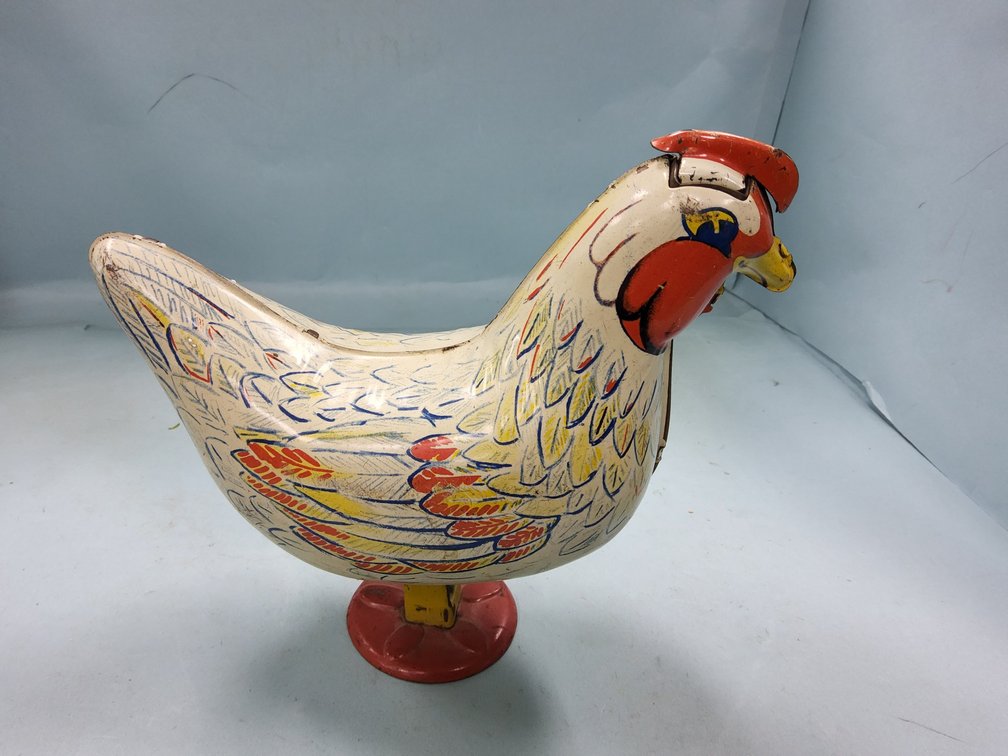 Wyandotte egg laying chicken