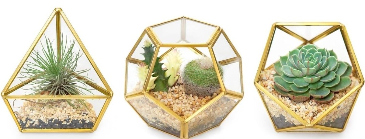 4in Mini Glass Geometric Terrarium 