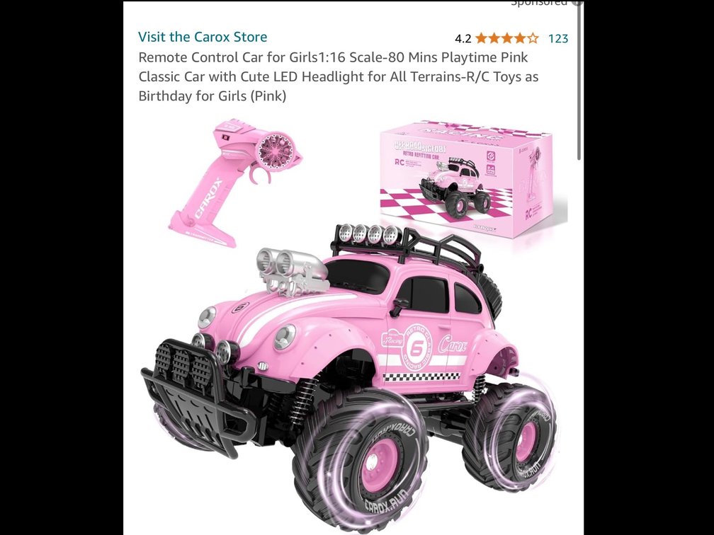 Remote bug rc truck with rechargeable batt