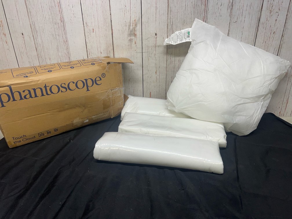 (4) 18x18 pillows