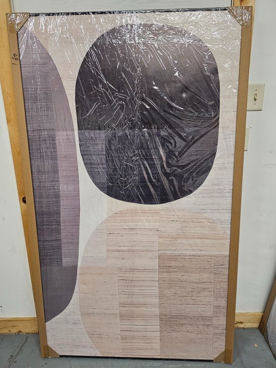 38 1/2in x 63 1/2in Canvas Wall Art