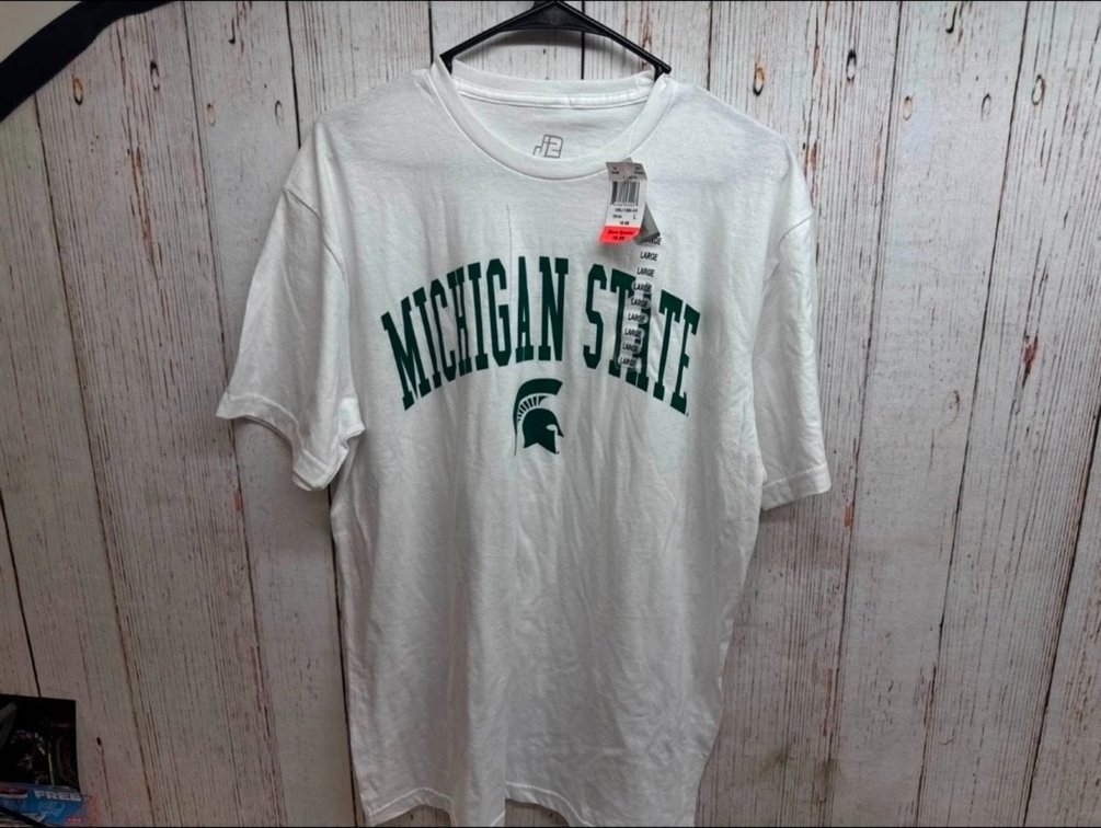 Mens L Michigan State cotton T