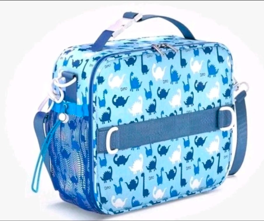 YOLAY Kids Double Insulated Bento Lunch Bag for Boys - Durable Dino and Blue