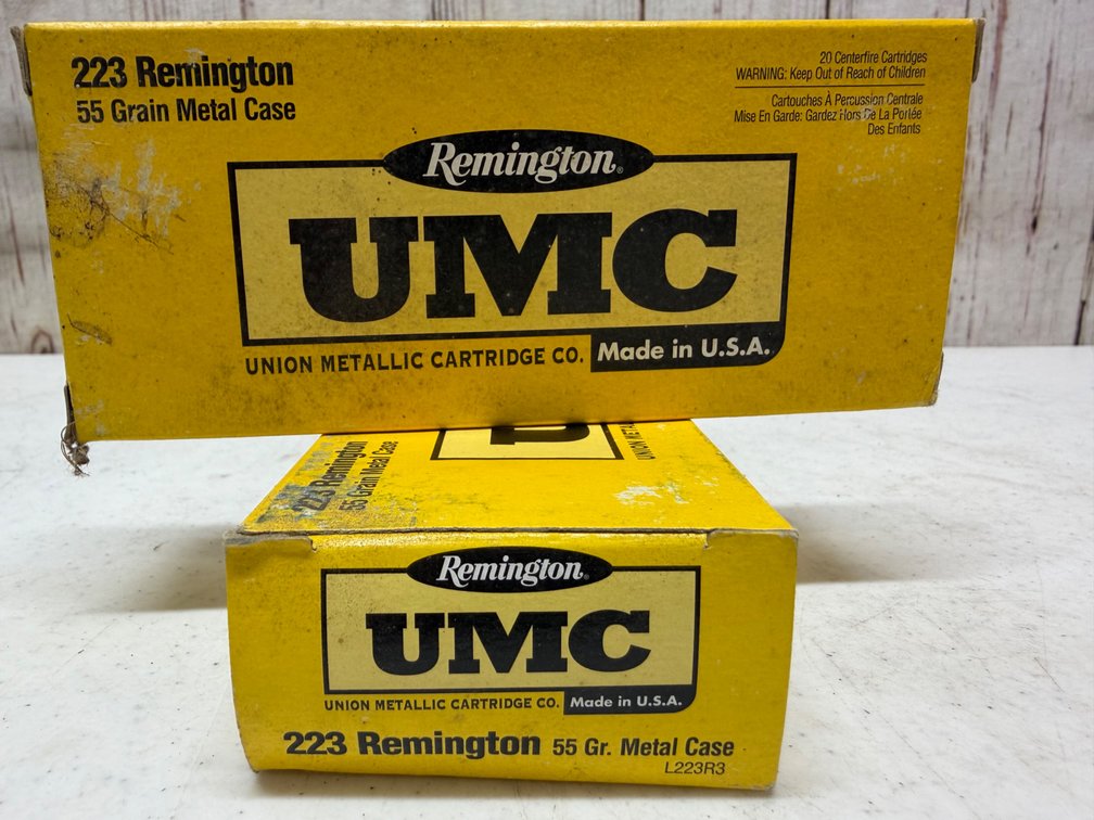 (2) Rem UMC .223 55gr.