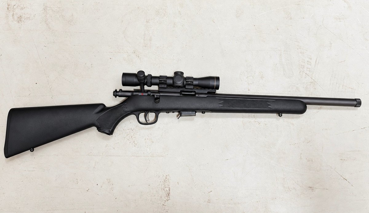 Savage Model 93F17 .17 bull with a 2-7 Leupold optic