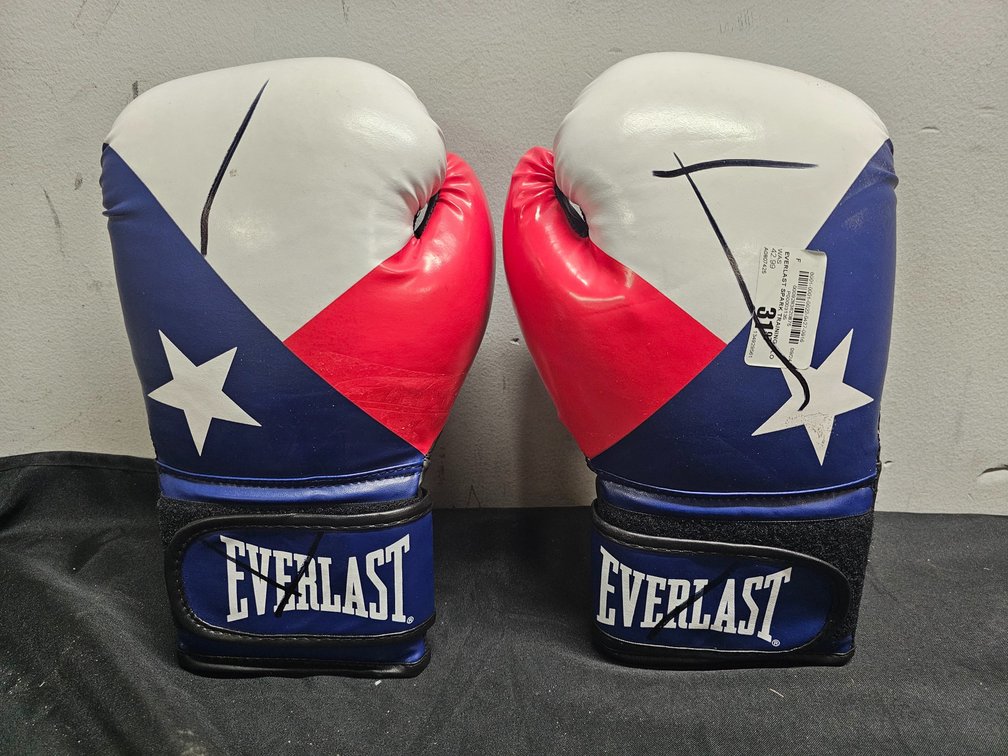 16oz Everlast Boxing Gloves