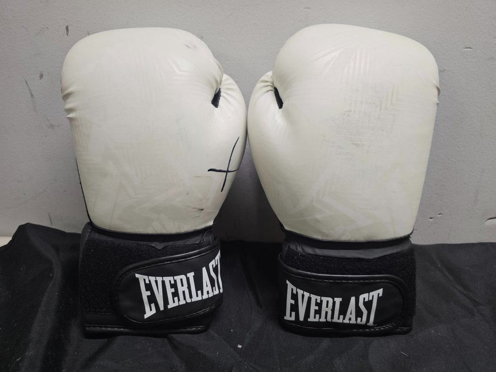 14oz Everlast Boxing gloves. 